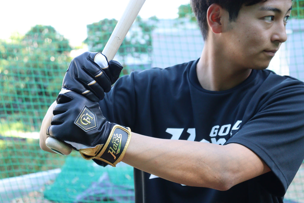 GH PRO  HIMEJI SERIES