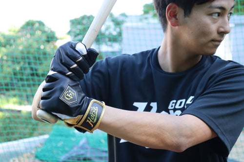 GH PRO  HIMEJI SERIES