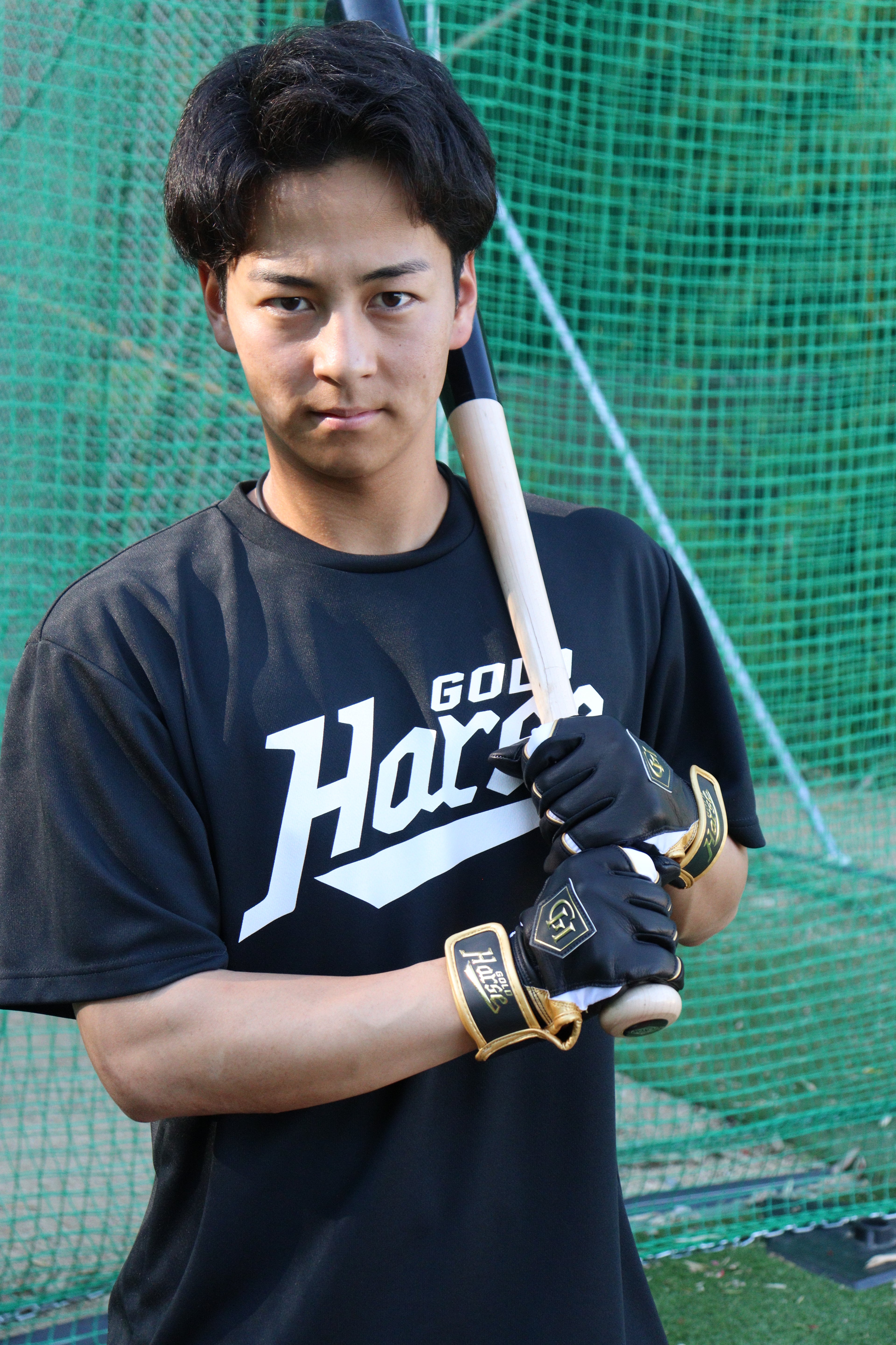 GH PRO  HIMEJI SERIES
